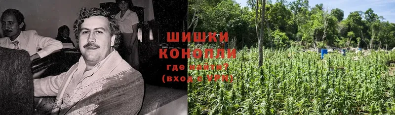 Канабис LSD WEED  omg маркетплейс  Гороховец 